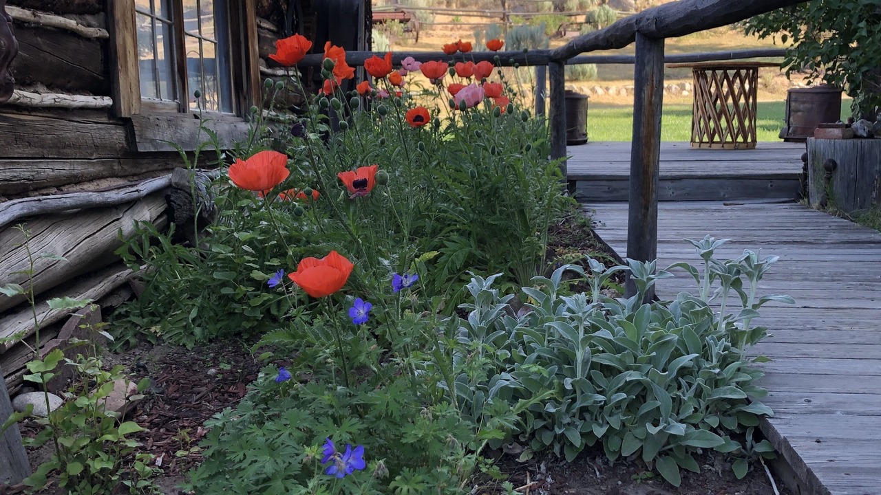 Photo of Outdoor in Pinedale