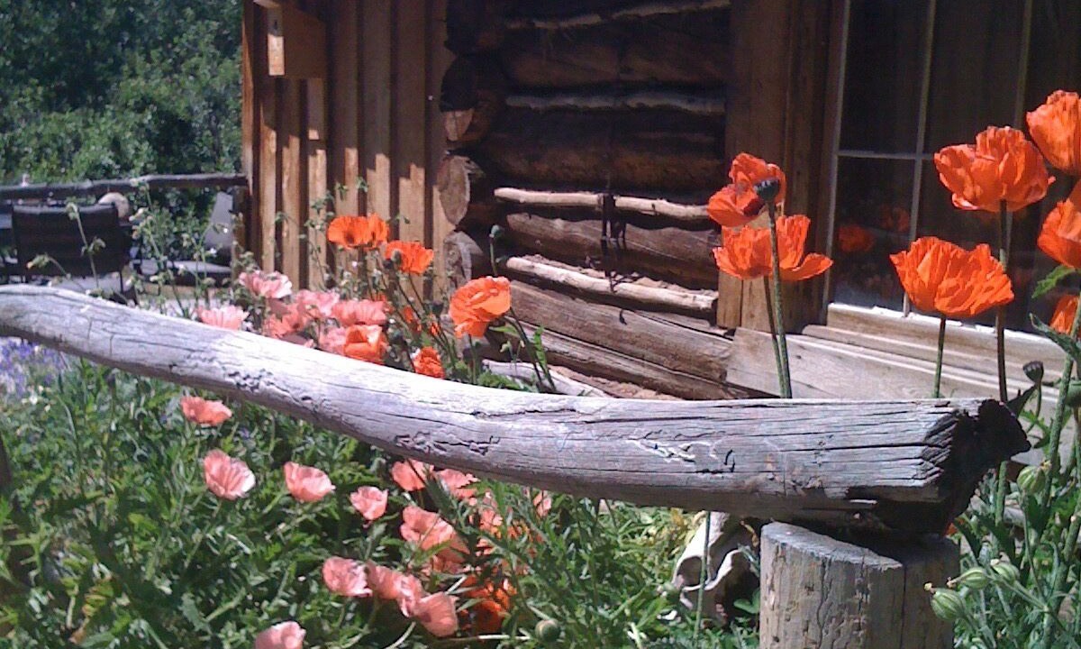 Photo of Outdoor in Pinedale