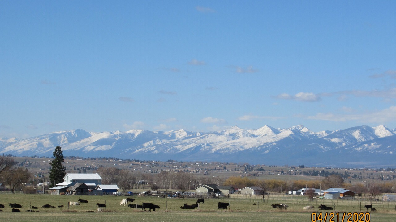 Photo of Others in Stevensville
