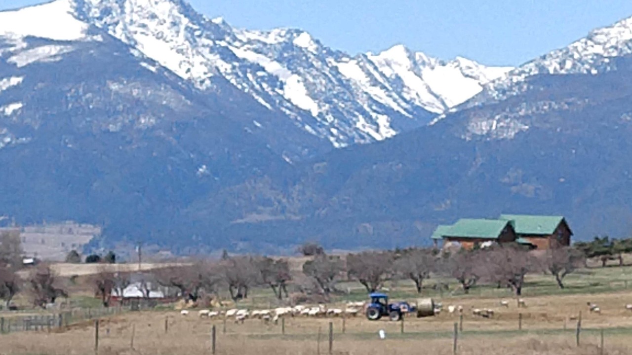 Photo of Outdoor in Stevensville