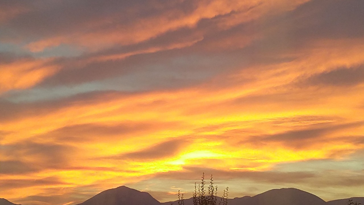 Photo of Outdoor in Stevensville