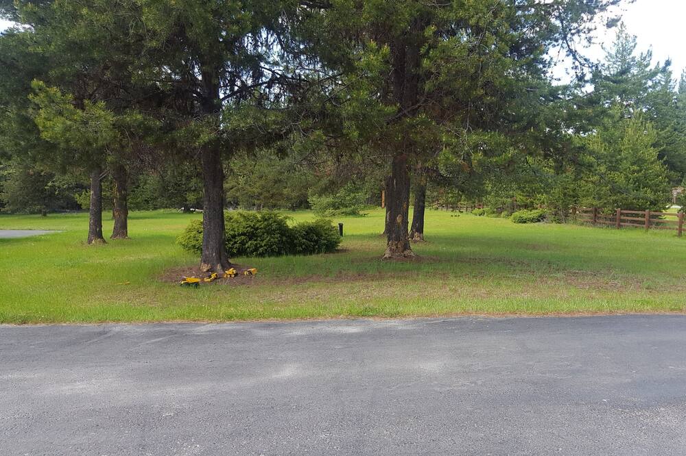 Photo of Outdoor in Condon