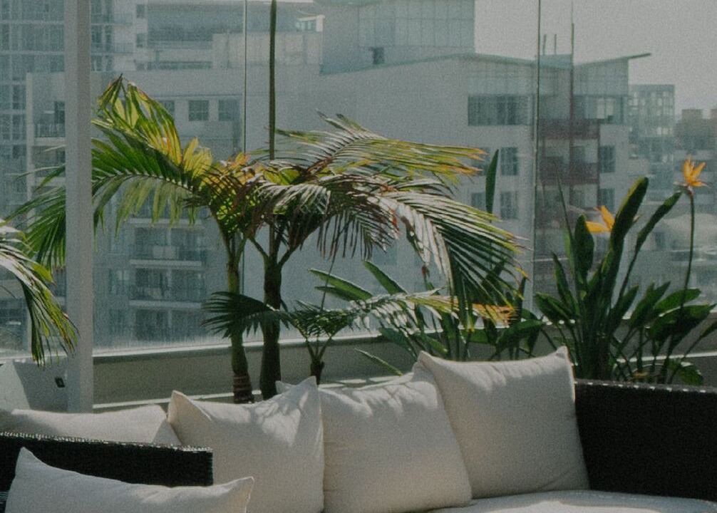 Photo of Outdoor in Palms