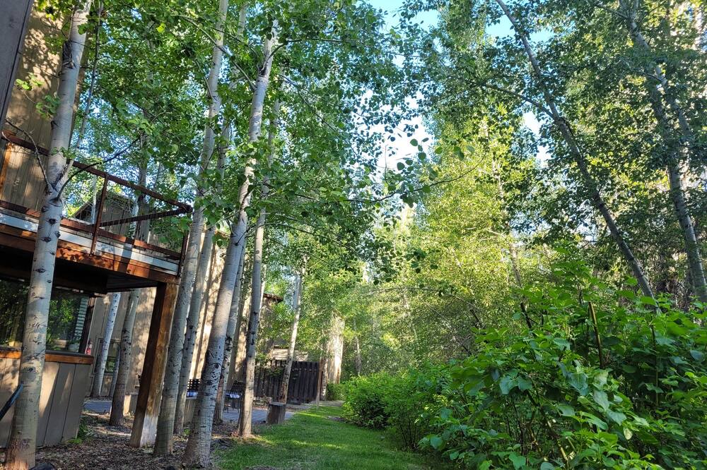 Photo of Outdoor in Hailey