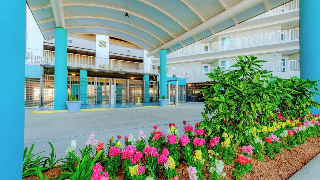 Photo of Outdoor in Biloxi