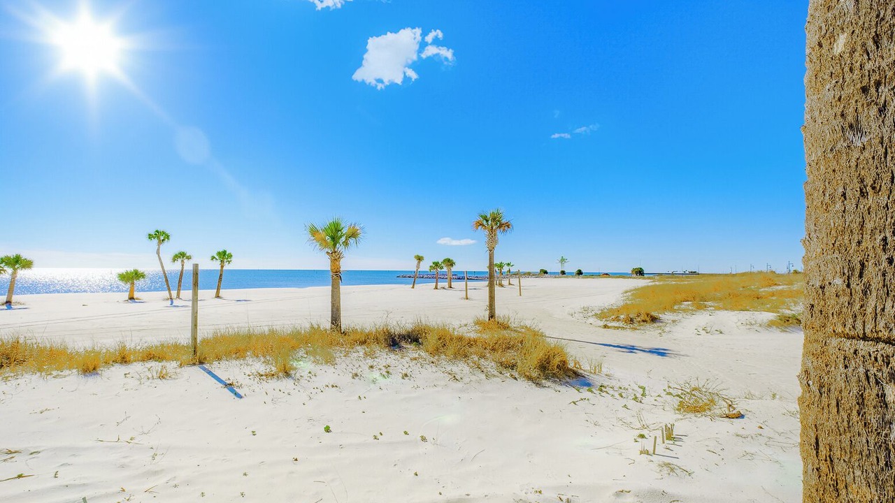 Photo of Others in Biloxi