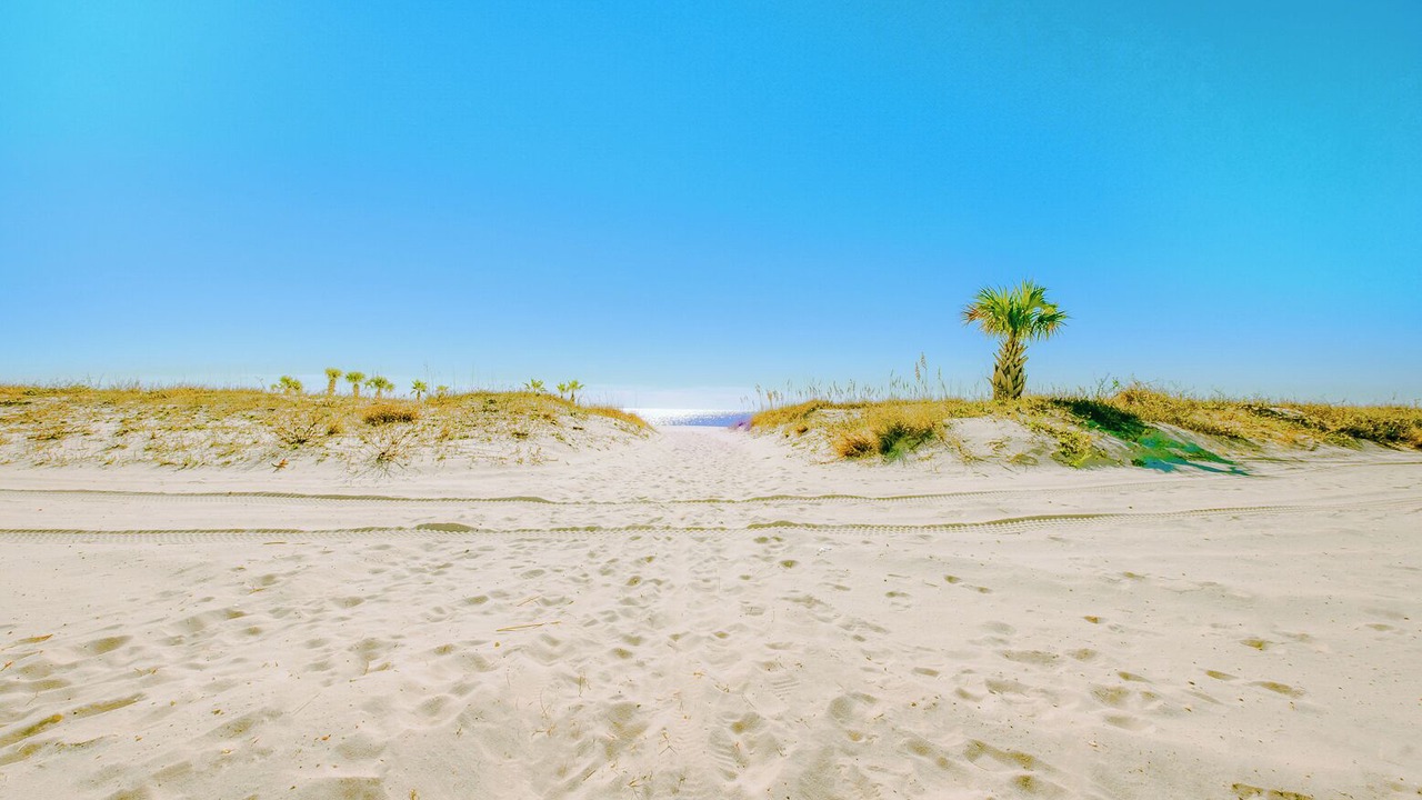 Photo of Others in Biloxi