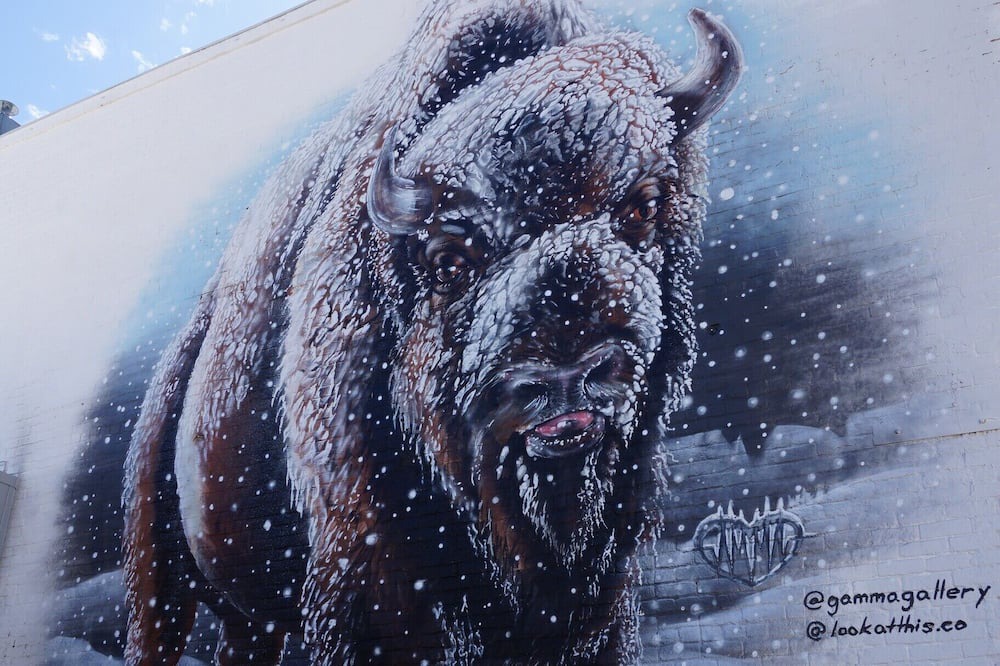Photo of Others in Buffalo