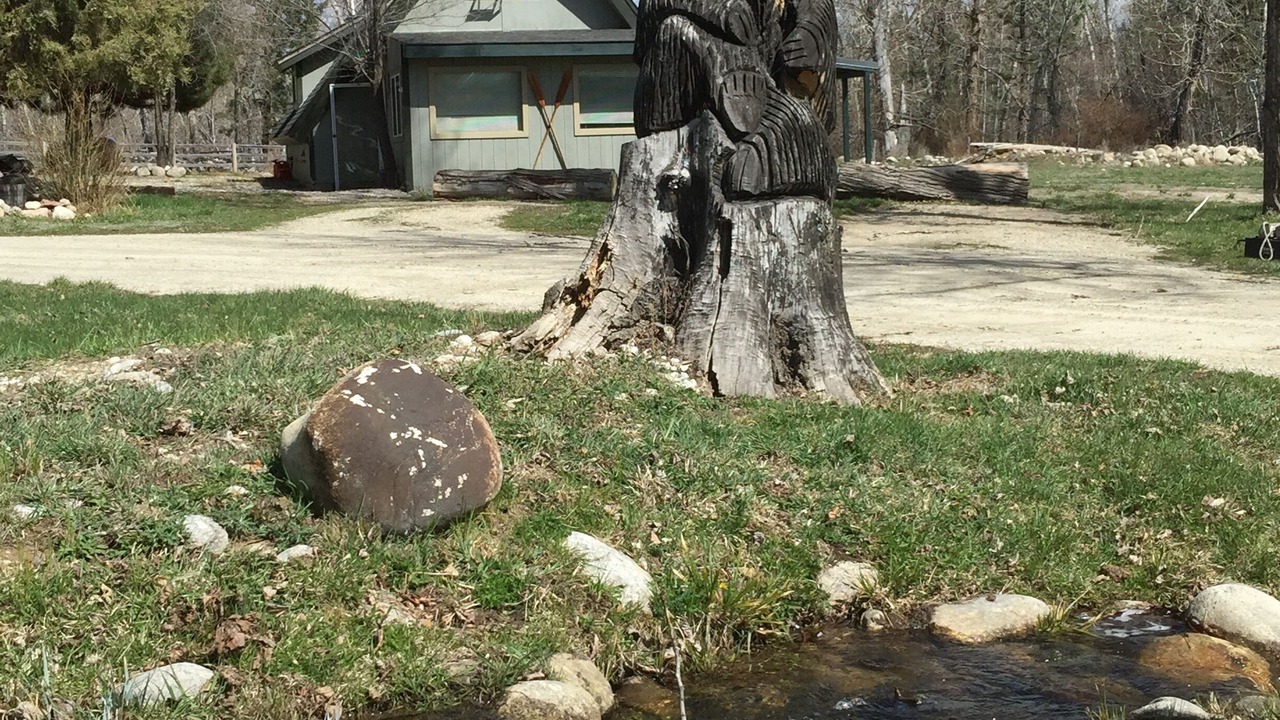 Photo of Outdoor in Hamilton