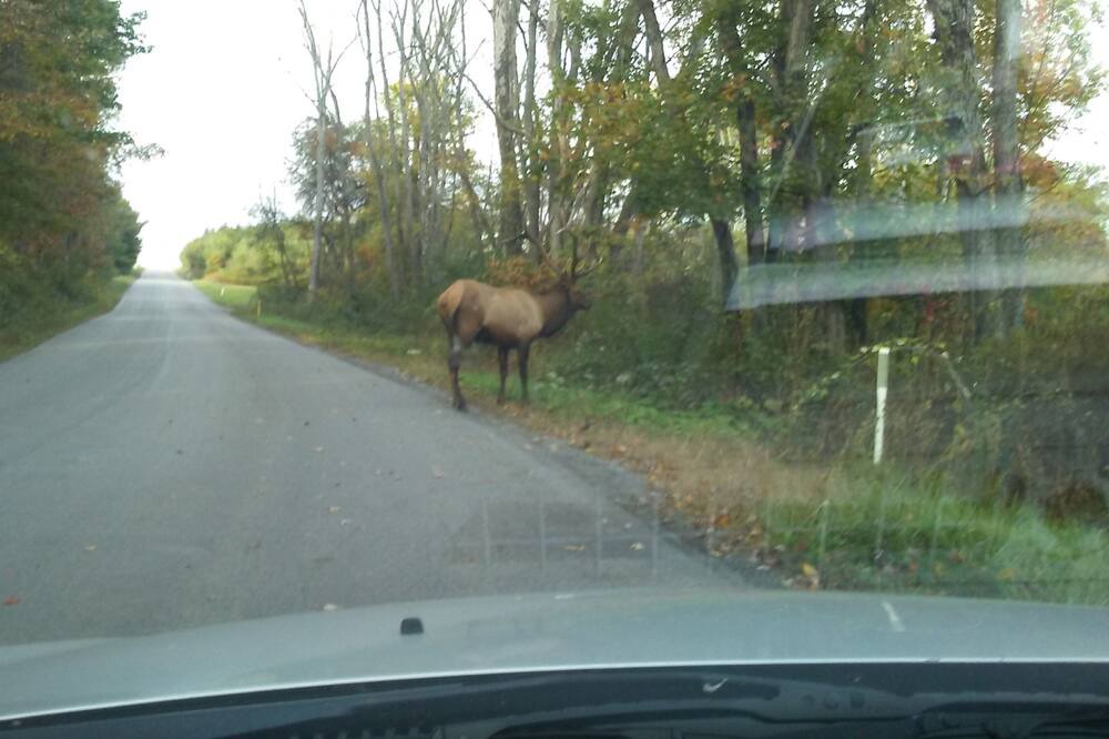 Photo of Outdoor in Frenchville
