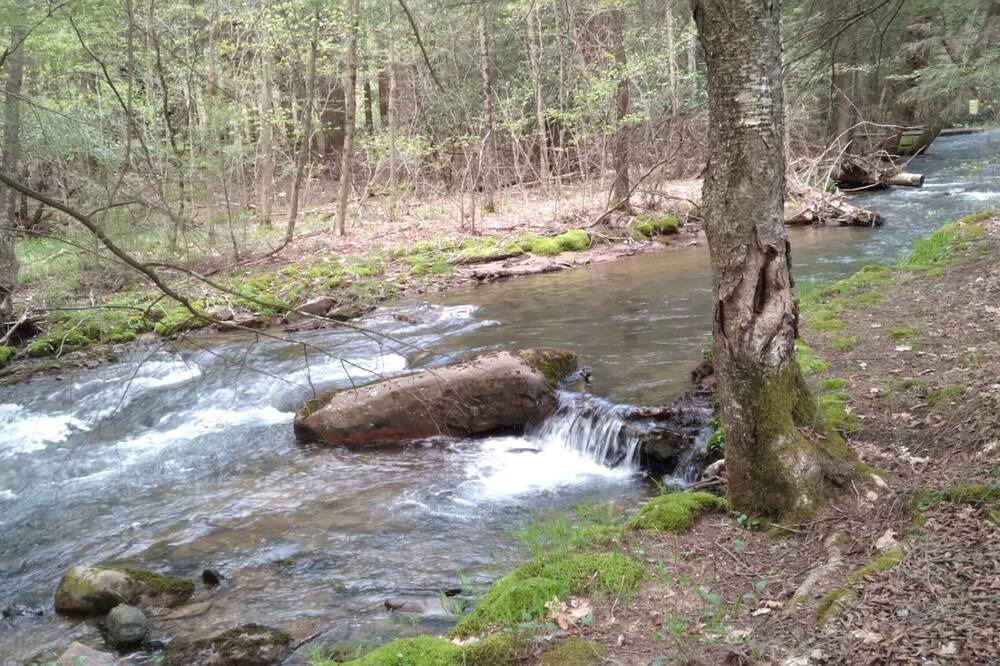 Photo of Outdoor in Frenchville