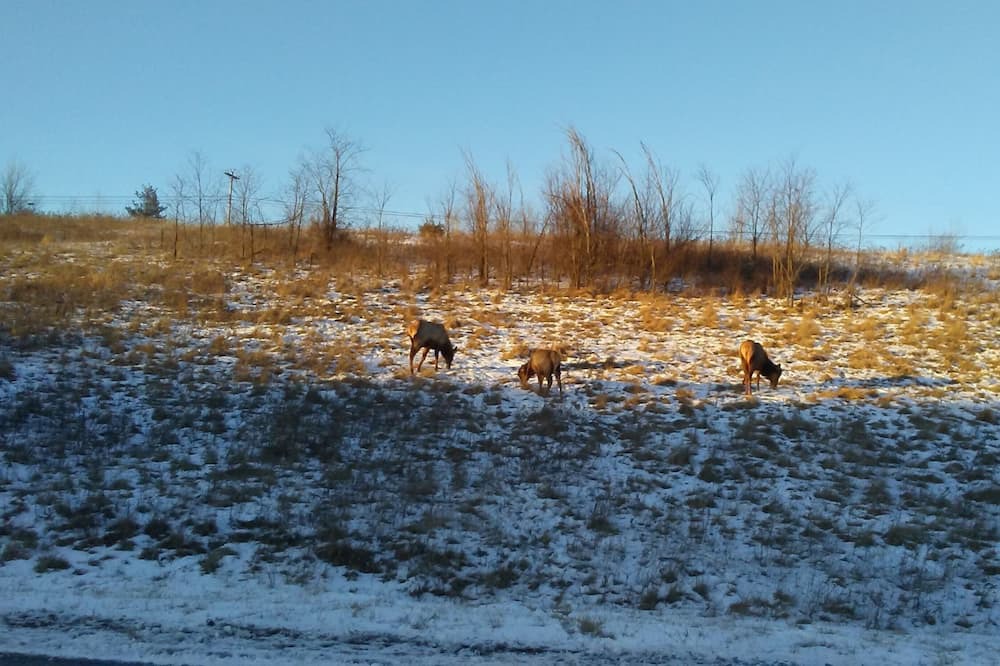 Photo of Others in Frenchville