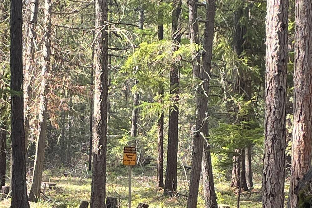 Photo of Outdoor in Priest River