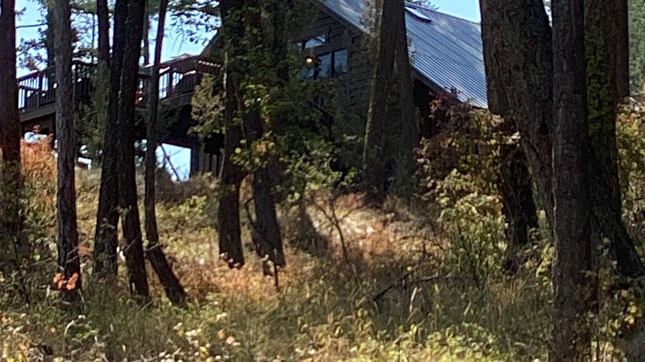Photo of Outdoor in Angel Point