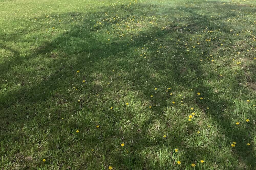 Photo of Outdoor in Worland
