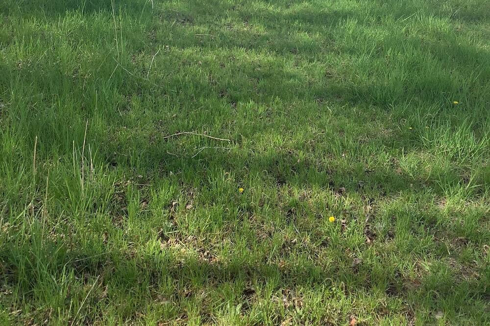 Photo of Outdoor in Worland