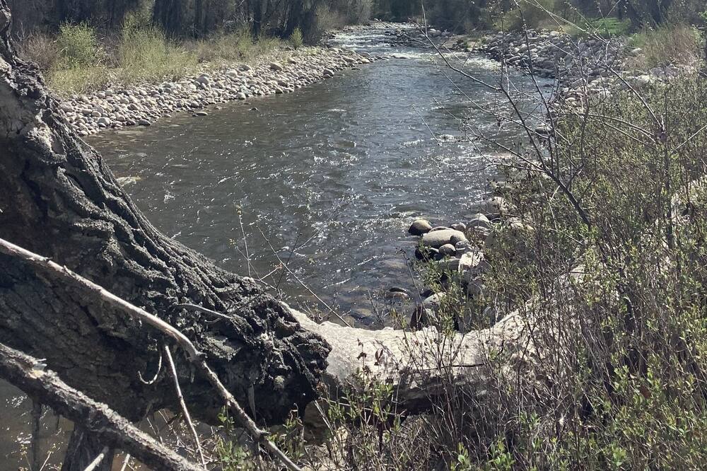 Photo of Others in Worland