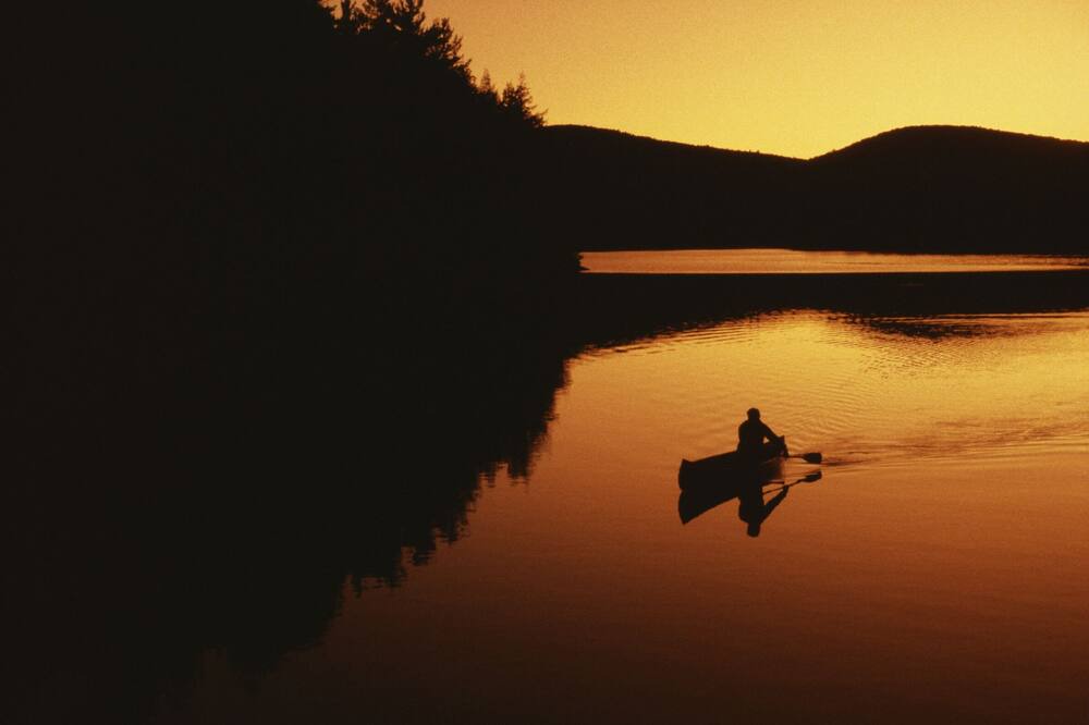 Photo of Others in Dover Bay