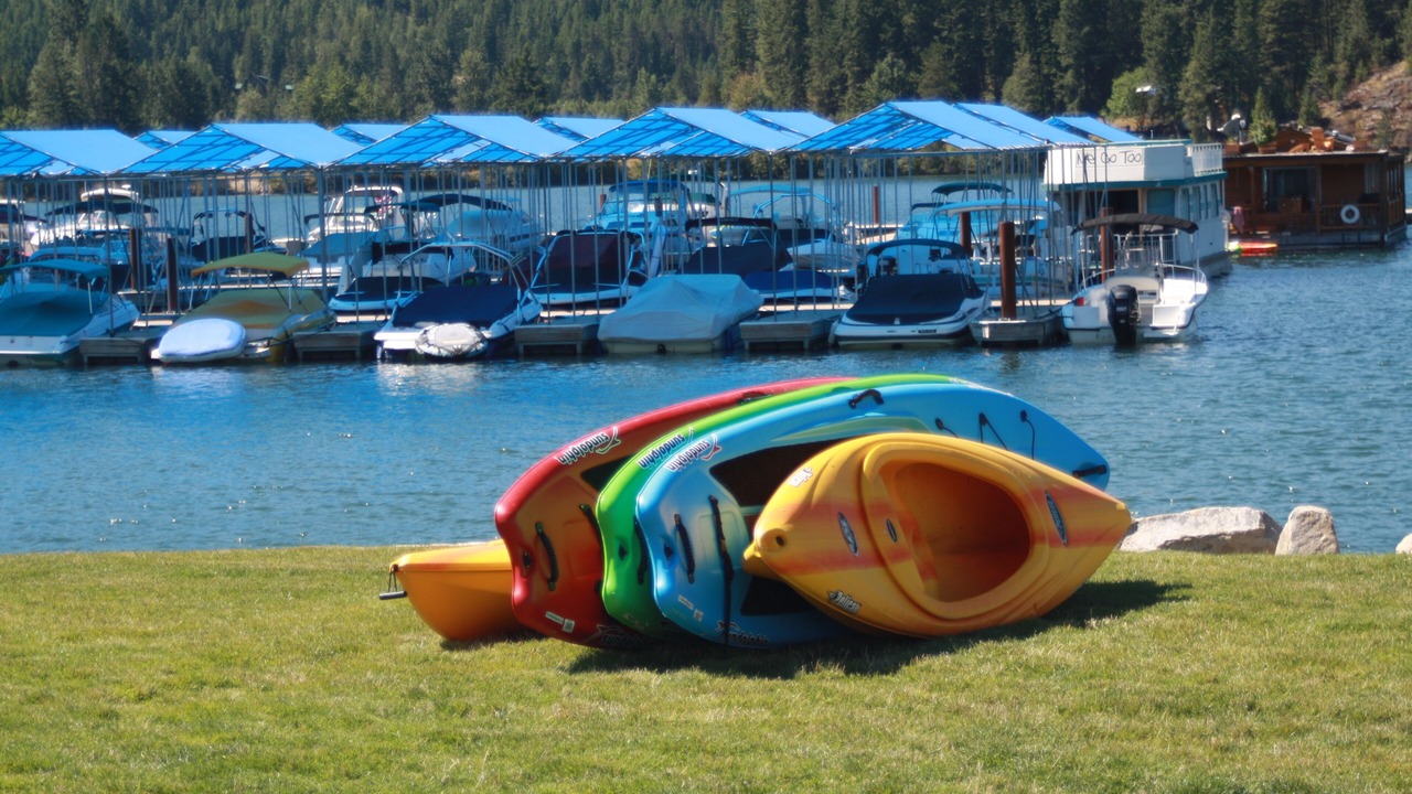 Photo of Others in Dover Bay