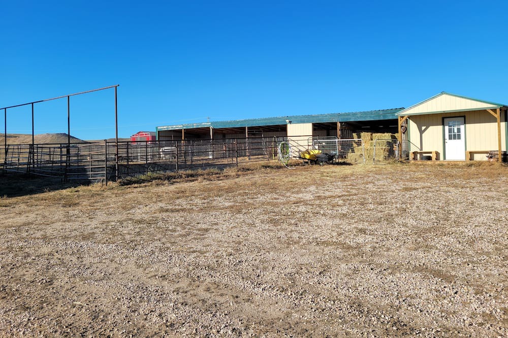 Photo of Others in Lingle