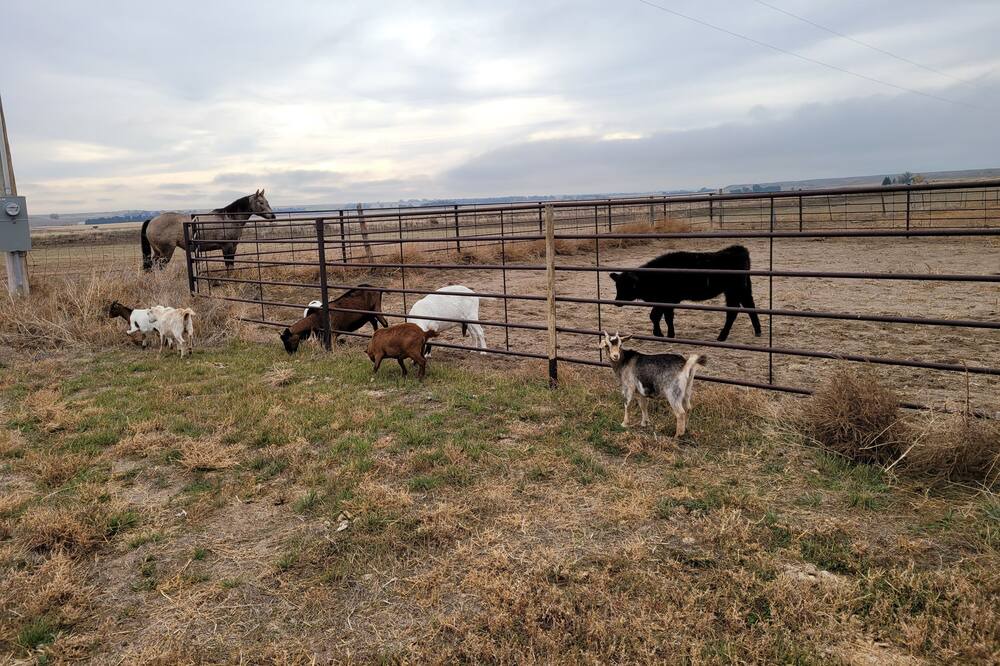 Photo of Outdoor in Lingle