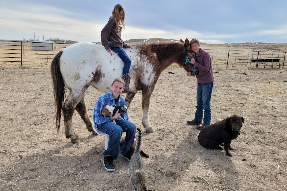 Photo of Others in Lingle