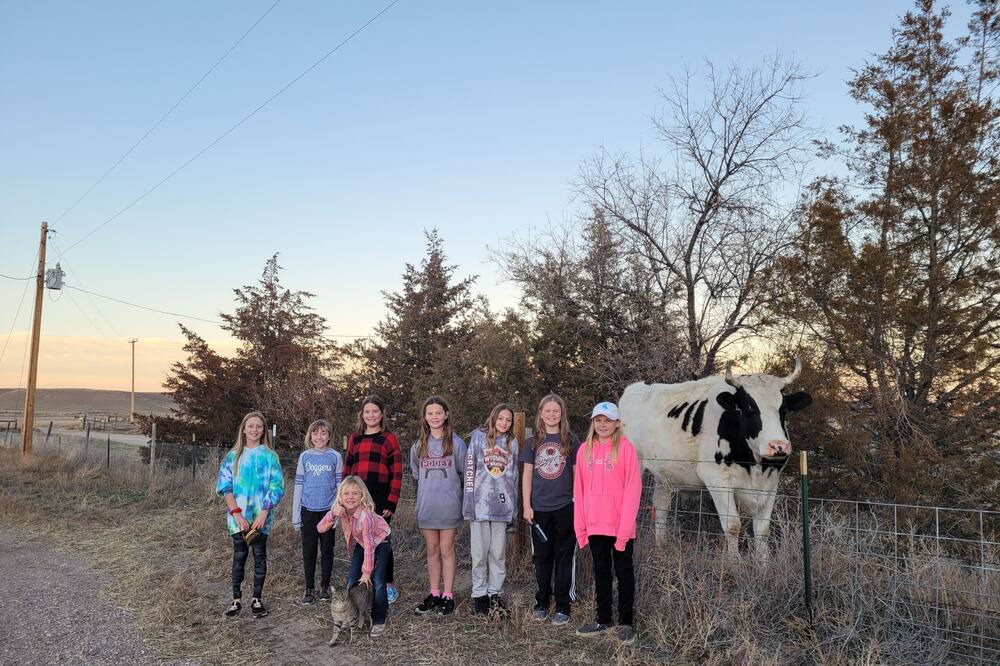 Photo of Outdoor in Lingle