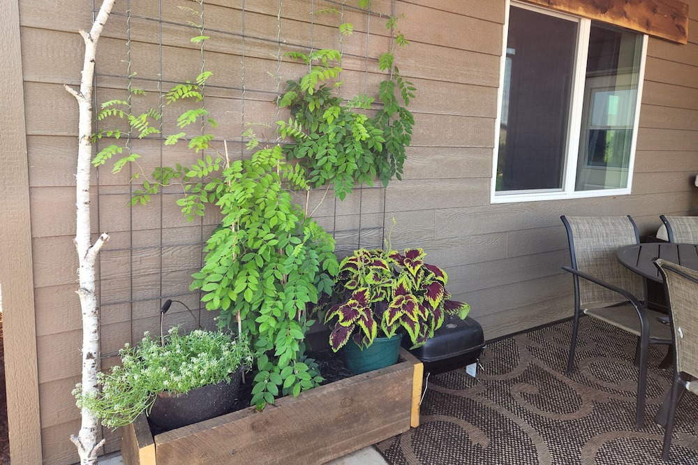 Photo of Patio Balcony in Spearfish