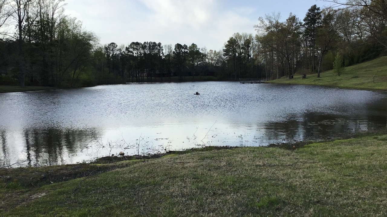 Photo of Others in Little Rock