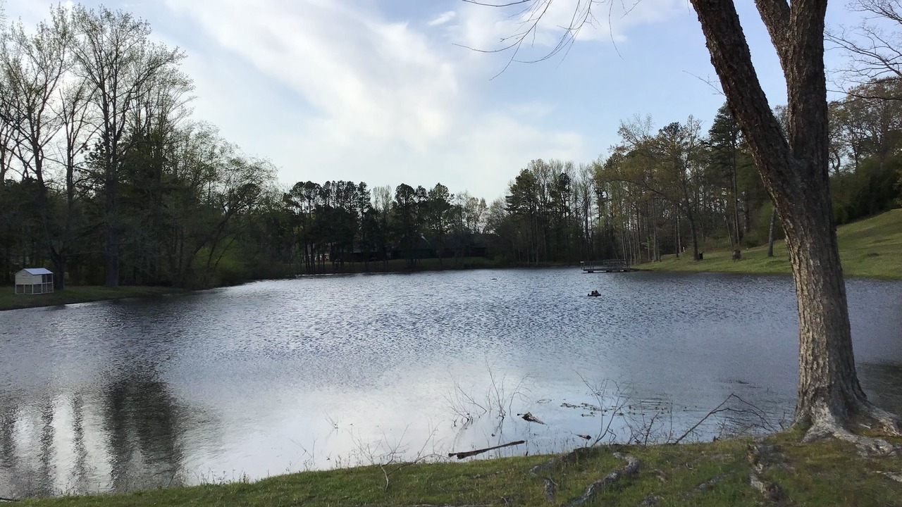 Photo of Outdoor in Little Rock