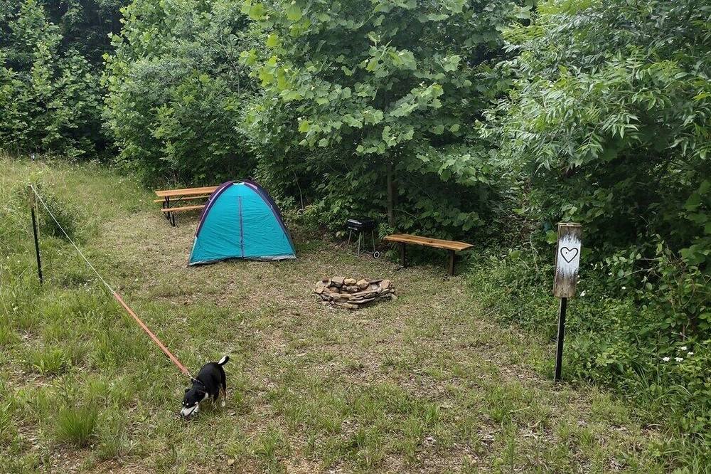 Photo of Others in Laurelville
