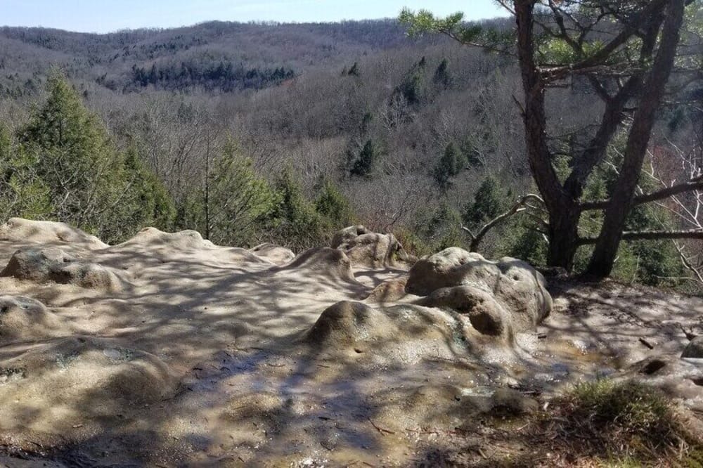 Photo of Outdoor in Laurelville