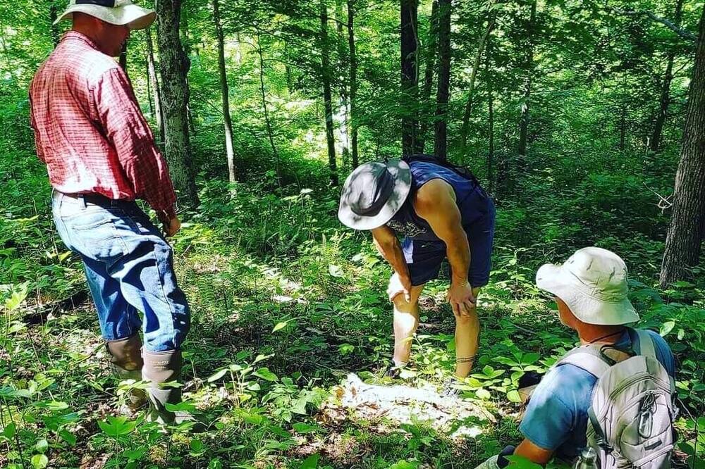 Photo of Others in Laurelville