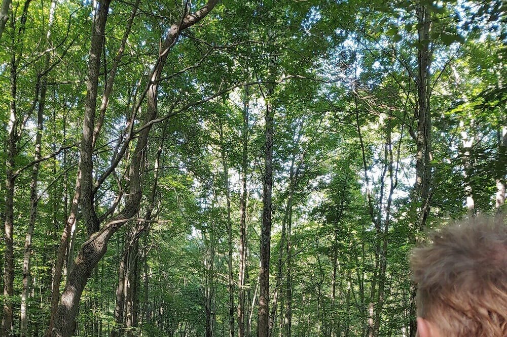 Photo of Others in Laurelville