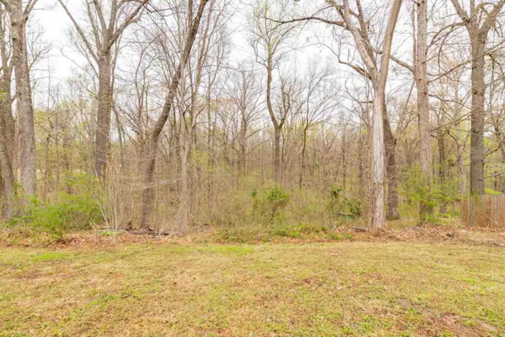 Photo of Outdoor in Millington