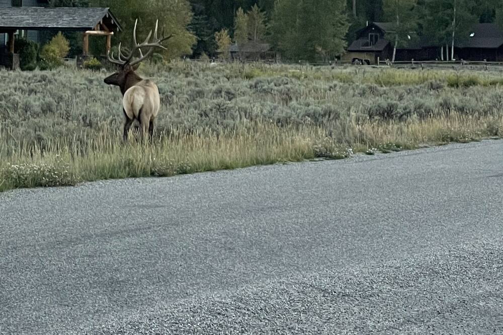 Photo of Others in Jackson Hole