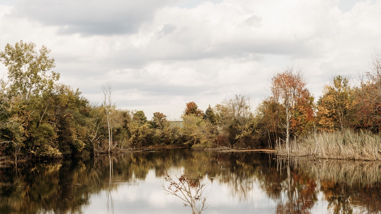 Photo of Outdoor in Novi