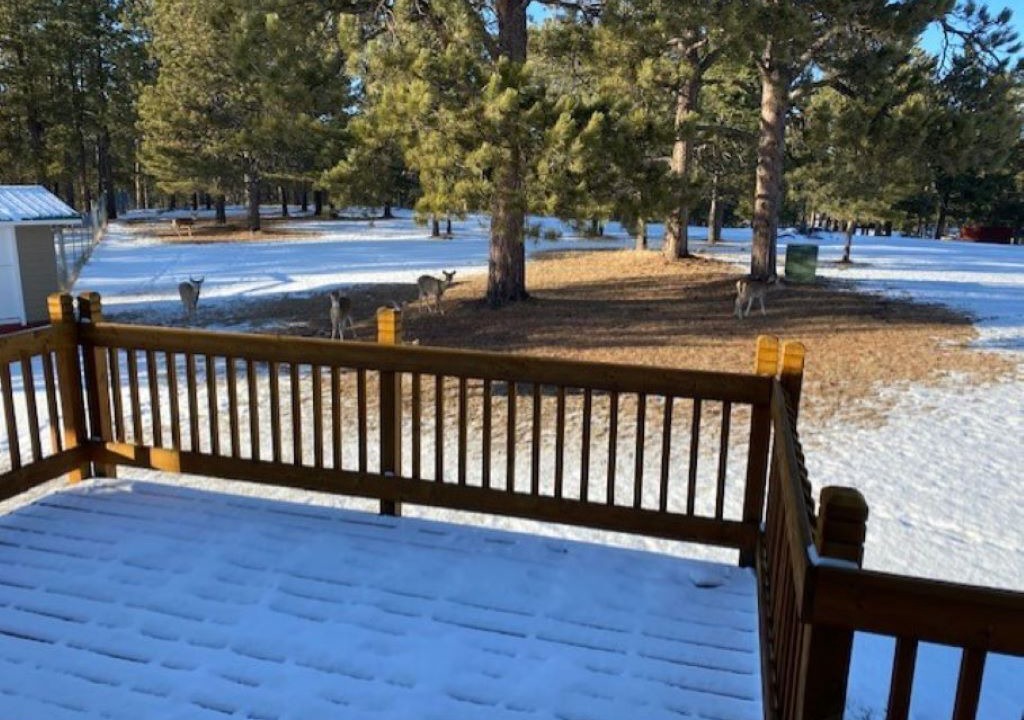 Photo of Outdoor in Custer