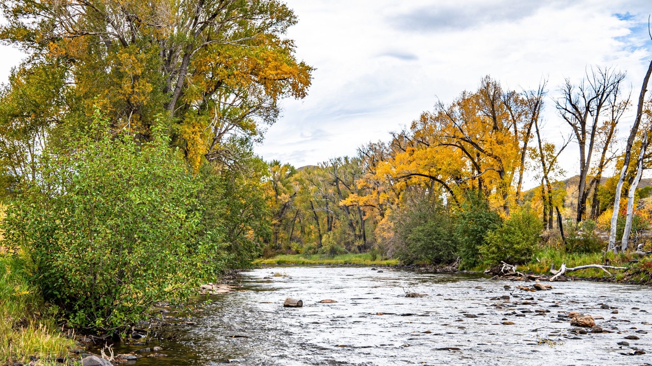 Photo of Outdoor in Laramie