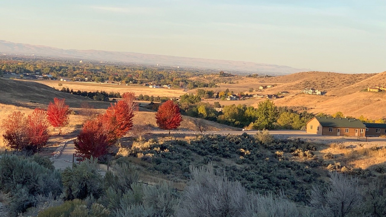 Photo of Outdoor in Garden City