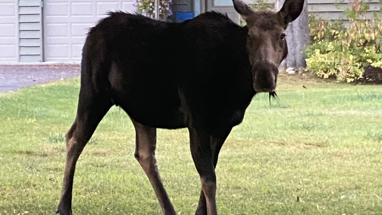 Photo of Outdoor in Jackson