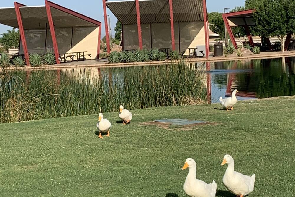 Photo of Others in Queen Creek