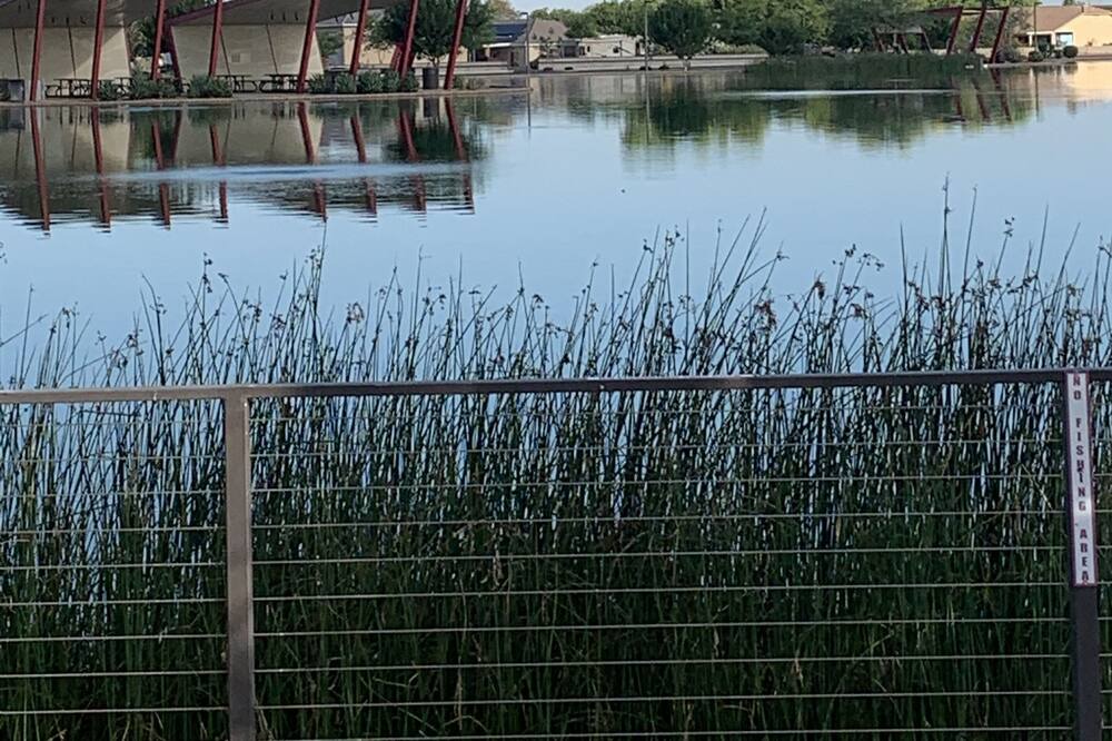 Photo of Outdoor in Queen Creek