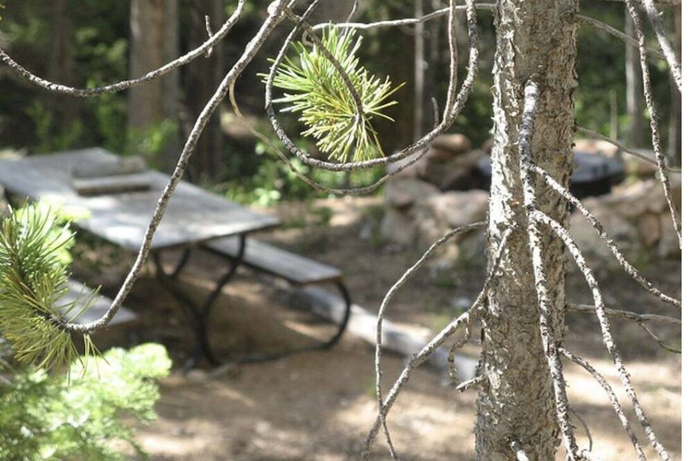 Photo of Others in Crystal Lake