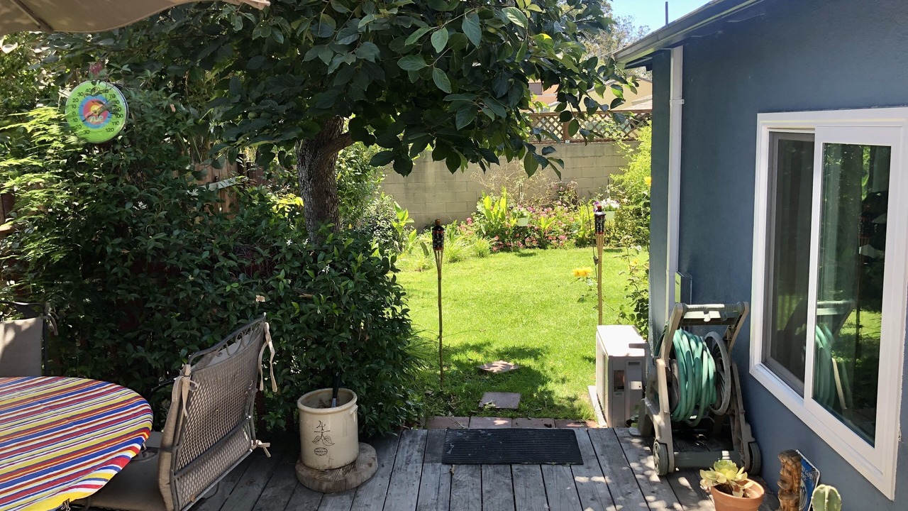Photo of Outdoor in Palms