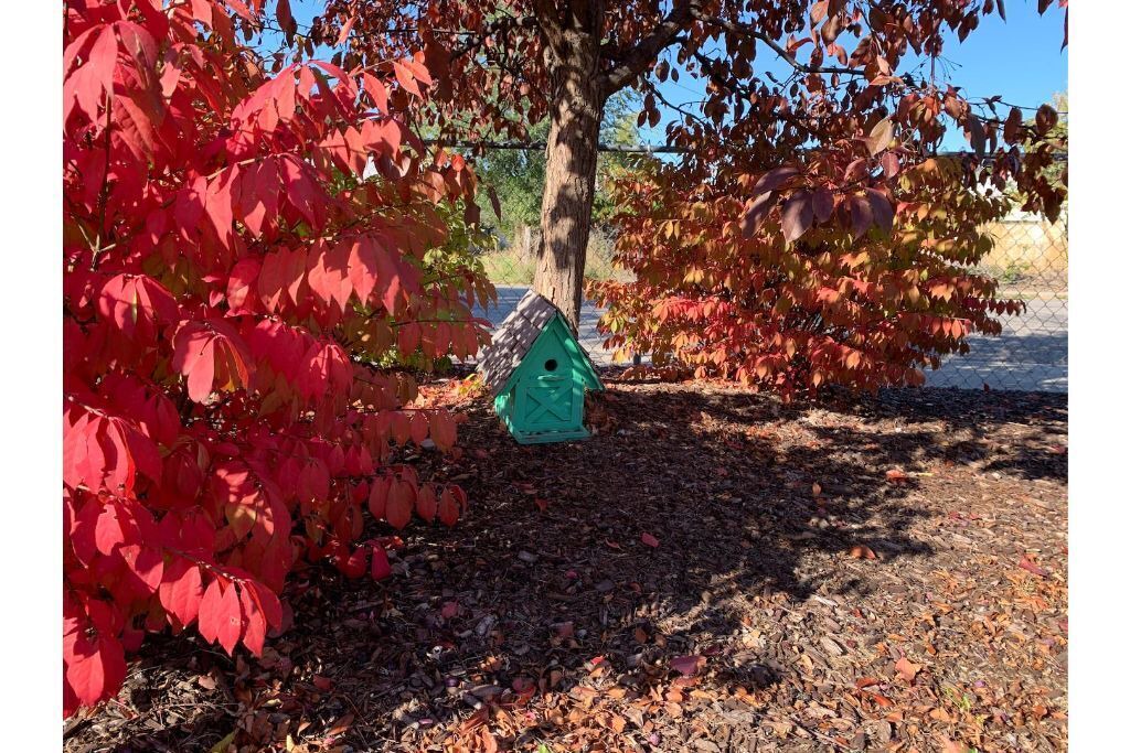Photo of Outdoor in Rose Park