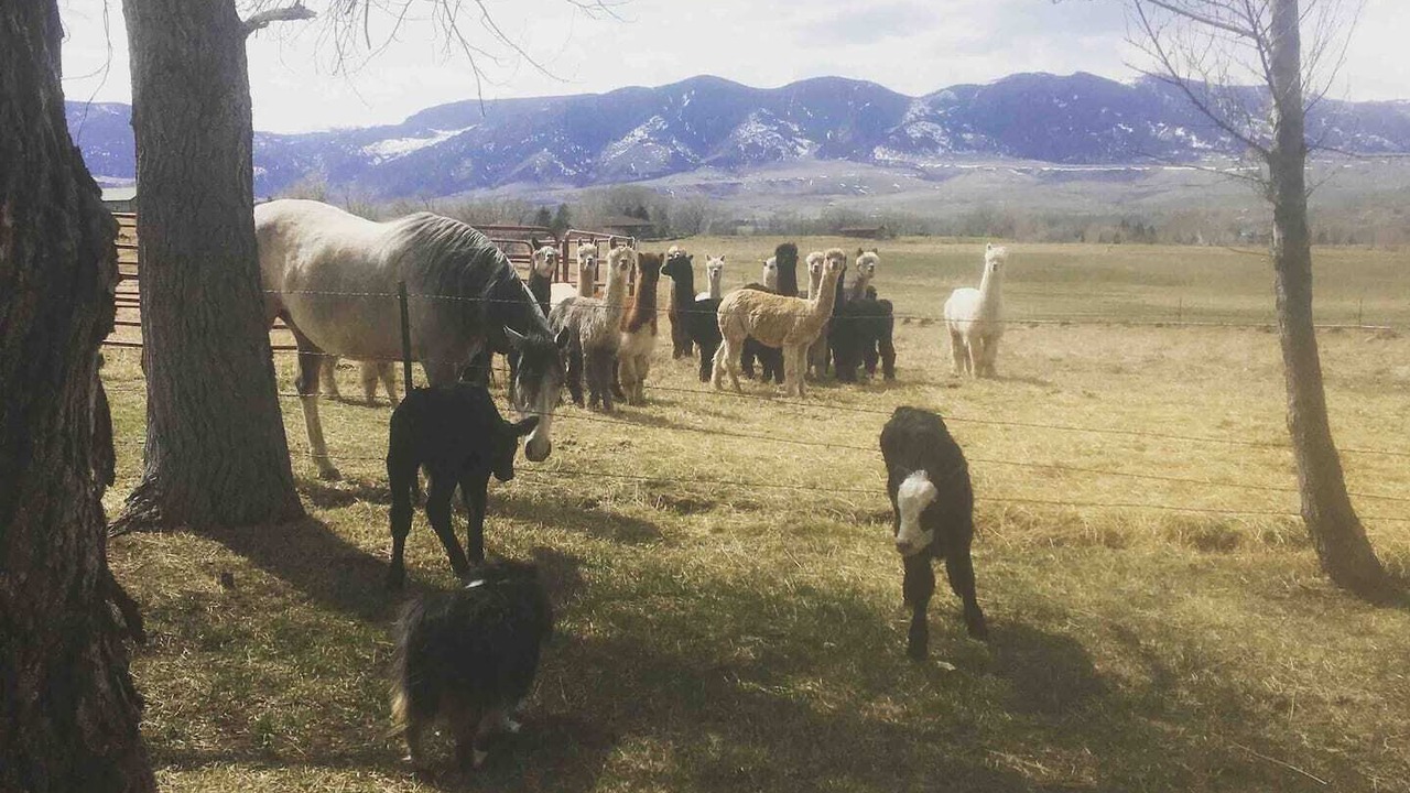Photo of Outdoor in Sheridan