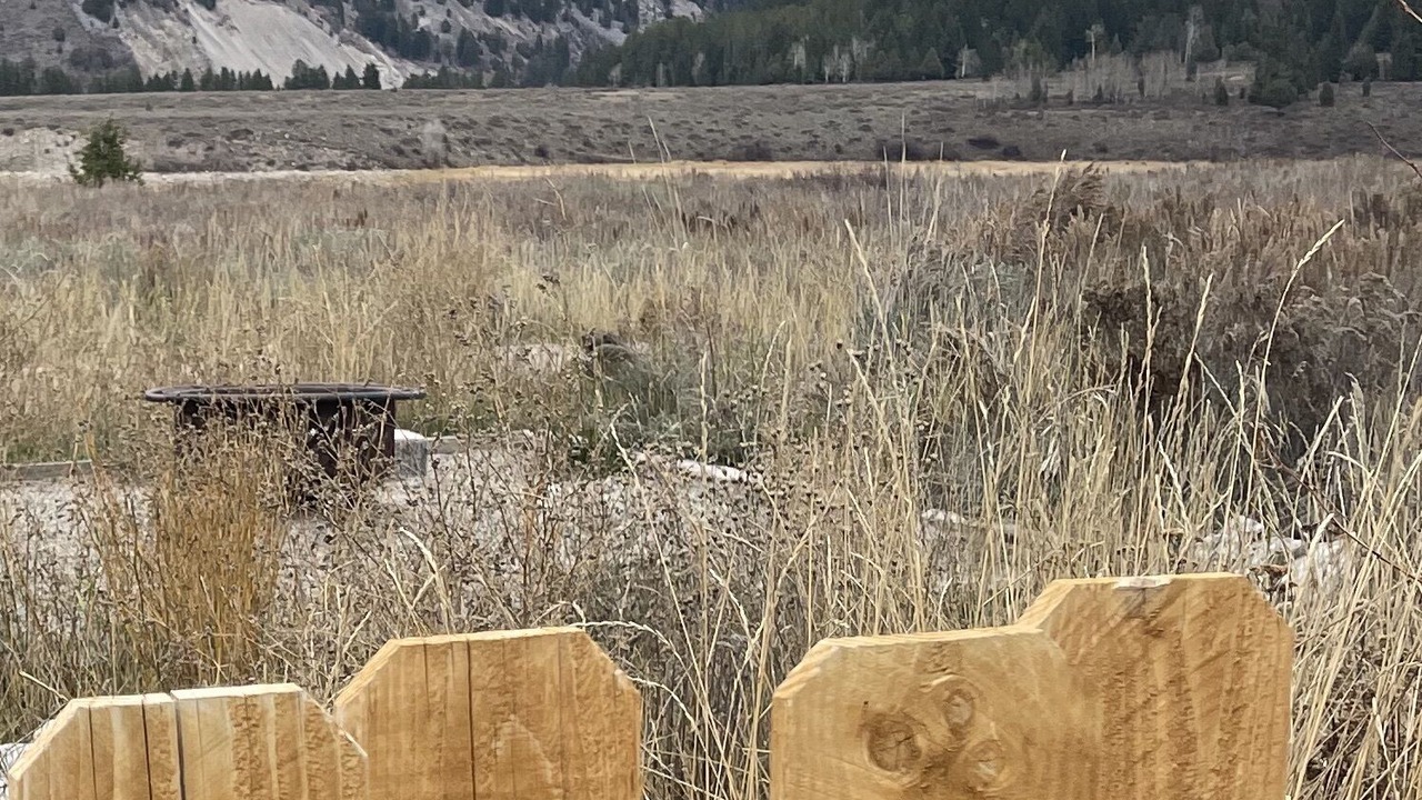 Photo of Outdoor in Alpine