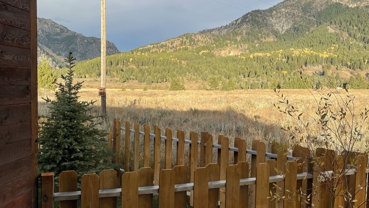 Photo of Outdoor in Alpine