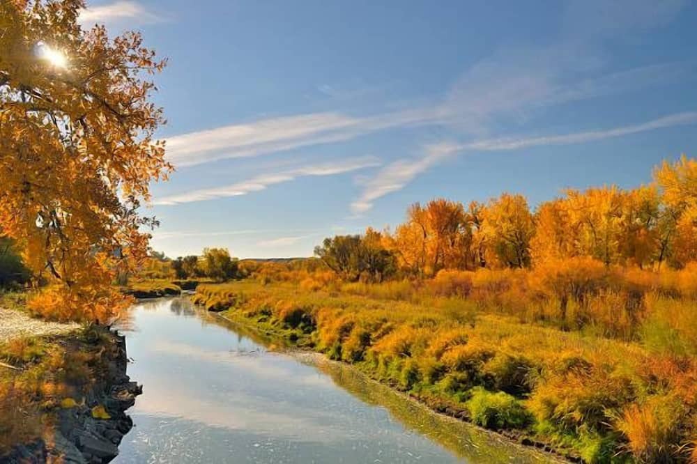 Photo of Others in Billings